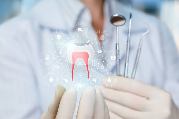 Best Dental Inlays and Onlays  in Tallahassee, FL